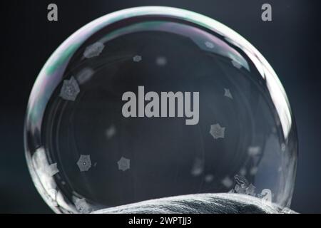 Winter collage. A transparent soap bubble freezing in the cold on a dark background. Tom 22. Stock Photo
