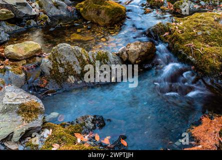 A shallow brook flows over rocks and moss, with fallen autumn leaves visible in the water, in South Korea Stock Photo