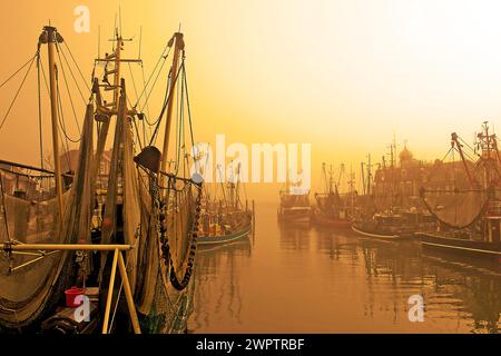 Sunrise in the harbour of Neuharlingersiel, East Frisia, Lower Saxony, Federal Republic of Germany Stock Photo