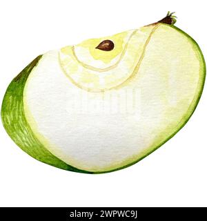 Tasty green watercolor apple. Hand drawn illustration of the isolated quater green apple on the white background. Autumn fruits harvest clip art Stock Photo