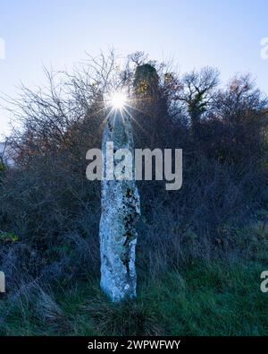 Menhir of Ribolta between Bóveda and Ankillas. Valdegovia Valley. Alava. Basque Country. Spain. Europe Stock Photo