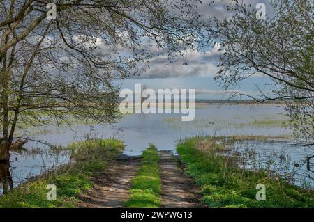 flood at River Oder in lower Oder Valley National Park,Uckermark region,Brandenburg;Germany Stock Photo