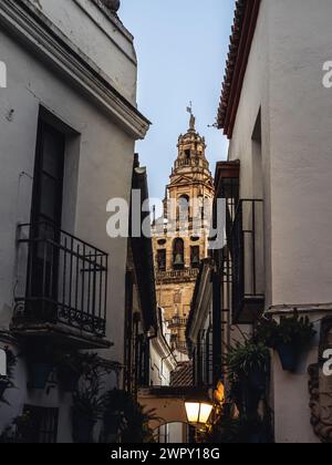 View of the Calleja de las Flores street in the evening with the tower of the Mezquita Cathedral in the background, Cordoba, Andalusia, Spain Stock Photo