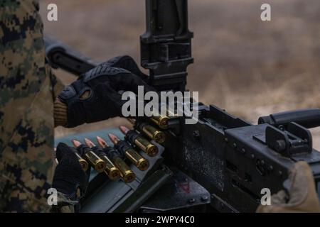 A U.S. Marine with 3rd Landing Support Battalion, 3rd Marine Logistics Group, loads ammunition into a .50 caliber machine gun while participating in a live fire exercise during Warrior Shield 24 at Rodriguez Live Fire Complex, Pocheon, Republic of Korea, March 3, 2024. WS 24 is an annual joint, combined, exercise in the Republic of Korea that strengthens the combined defensive capabilities of ROK-US Forces. This routine, regularly scheduled, field training exercise provides the ROK-US Marines the opportunity to rehearse combined operations, exchange knowledge, and demonstrate the strength and Stock Photo