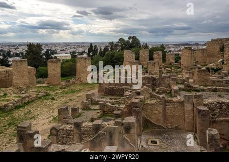 View of the archaeological site of Carthage located at Byrsa Hill, in the heart of the Tunis Governorate in Tunisia. Stock Photo