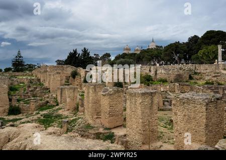 View of the archaeological site of Carthage located at Byrsa Hill, in the heart of the Tunis Governorate in Tunisia. Stock Photo