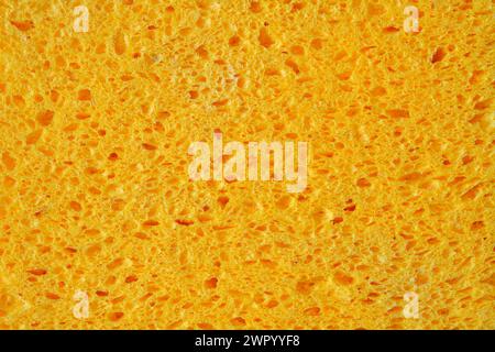 Yellow-orange sponge with pores texture background for graphics. Close-up macro photo of household sponge tissue. Stock Photo
