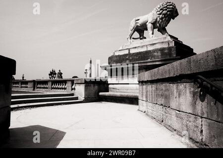 The carved stone lion on the corner of Tuileries Gardens, stone balustrade, Obélisque de Louxor, Eiffel Tower & Place de la Concorde Paris, France Stock Photo