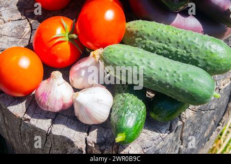 Colorful juicy vegetables crop mix Stock Photo