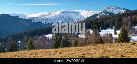 Winter view from Velka Fatra mountains, panorama of mount Ostredok, Slovakia Stock Photo