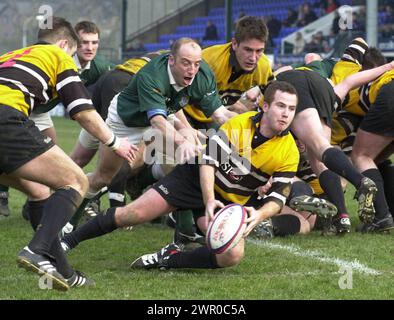 HAWICK V CURRIE, BT CELLNET CUP SEMI FINAL, 30/3/02. Hawick scrum half Kevin Reid puts his opposite number Ian Monaghan under pressure. Stock Photo