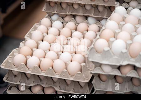 Thannhausen, Bavaria, Germany - 10 March 2024: Organic chicken eggs on a pallet at Eierfärberei Beham in Thannhausen in Bavaria *** Bio Hühnereier auf einer Palette bei der Eierfärberei Beham in Thannhausen in Bayern Stock Photo