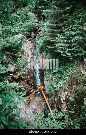 Stream flowing down from high mountains in polish Tatras Stock Photo