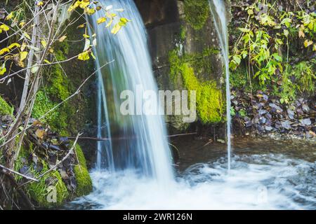 Small artificial waterfall on the forest river. Stock Photo