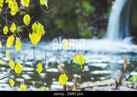 Small artificial waterfall on the forest river. Stock Photo