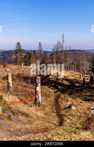 A springtime hike through the beautiful Thuringian Forest near Steinach in the district of Sonneberg - Thuringia - Germany Stock Photo