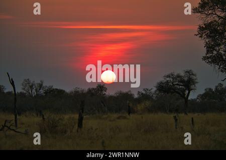 The sun setting over an African savannah plain. The sky is a variety of red colours and the sun is just above the horizon Stock Photo