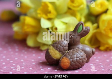 Easter chocolate bunnies and daffodils on pink tablecloth. Bright and colorful Easter card. Stock Photo