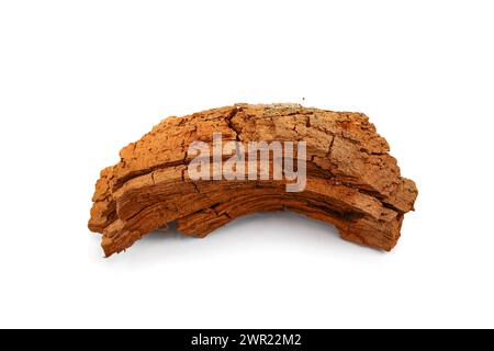 Decorative part of red wood isolated over white background. Cracked dry red wood as a decorative design element. Stock Photo