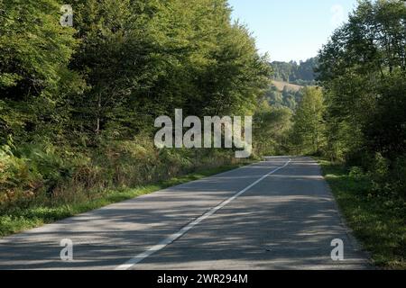 country road through woods in South-Western of Serbia Stock Photo