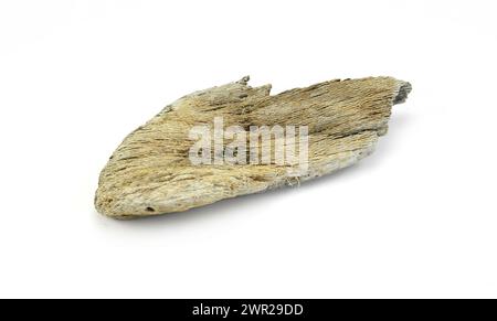 Piece of driftwood isolated on white background. Decorative bogwood. Stock Photo