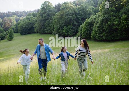 Family on walk in forest, going through meadow. Picking mushrooms, herbs, flowers picking in basket, foraging. Concept of family ecological hobby in Stock Photo