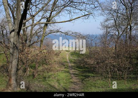 Odessa, Ukraine. 09th Mar, 2024. A couple seen kissing on Lanzheron beach. Spring day in Odessa, after a long cold winter, warm weather is quietly coming to Odessa. (Photo by Viacheslav Onyshchenko/SOPA Images/Sipa USA) Credit: Sipa USA/Alamy Live News Stock Photo