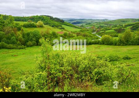 rural valley of ukrainian countryside in spring. green carpathian scenery with grassy meadows and forested hills on a rainy day Stock Photo