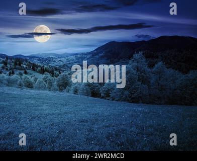 mountainous carpathian countryside landscape at night. forest behind the grassy meadow in full moon light Stock Photo