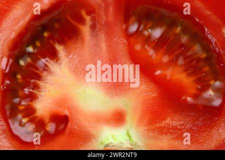 Ripe red Tomato Macro texture Stock Photo