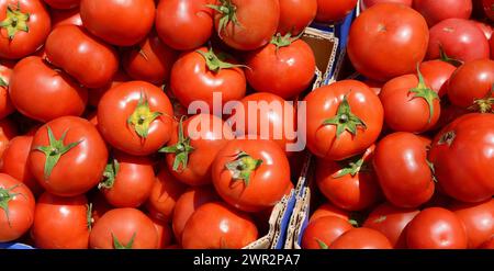 Red tomatoes background. Group of tomatoes. Full frame of cherry tomato on market. Stock Photo