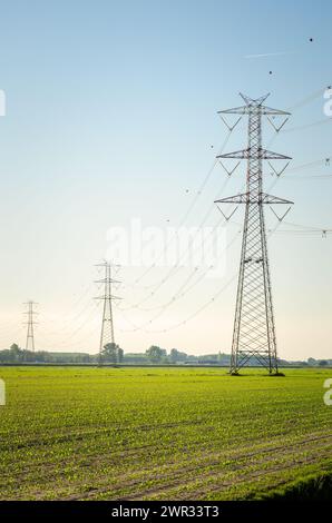Electricity pylons supporting high voltage lines over cultivated fields at sunset in spring Stock Photo