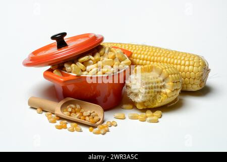 Fresh maize kernels in pots and dried maize kernels in scoops, corn (Zea mays) Stock Photo