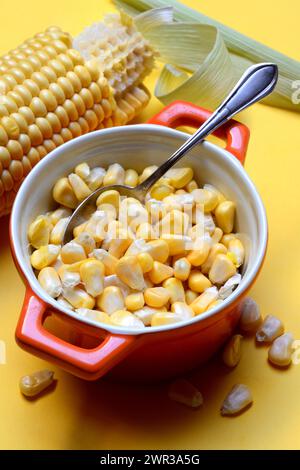 Fresh maize kernels in pots and cobs, corn (Zea mays) Stock Photo