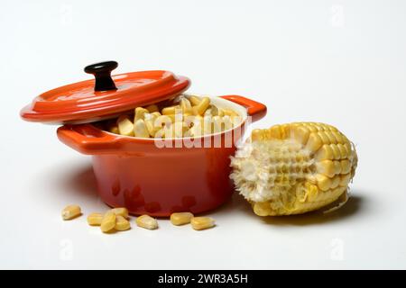 Fresh maize kernels in pots and cobs, corn (Zea mays) Stock Photo