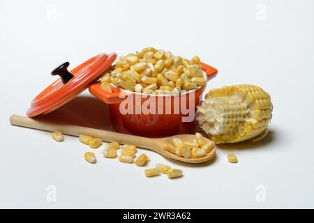 Fresh maize kernels in pots and cobs, corn (Zea mays) Stock Photo