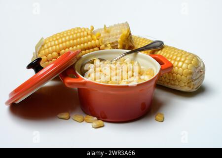 Fresh maize kernels in pots and cobs, corn (Zea mays) Stock Photo