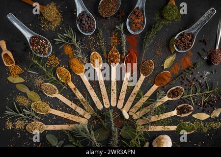 Colourful spices and herbs arranged in spoons on a dark background Stock Photo