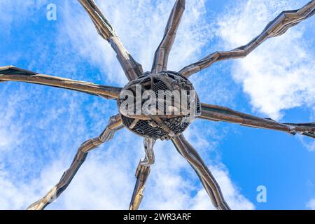 central body of the spider, work by artist Louise Bourgeois, next to the exterior of the Guggenheim Museum.Bilbau-spain.11-3-2024 Stock Photo