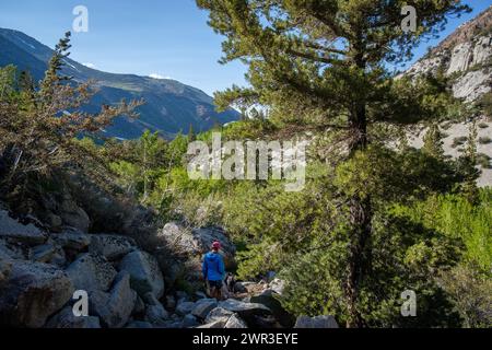 Hiker with dog on the Tyee Lakes Trail in Inyo National Forest near Bishop, California, eastern Sierra Nevada Mountains, USA. Stock Photo