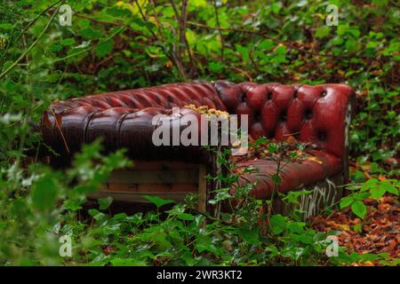 Abandoned Chester settee in the woods in London Stock Photo