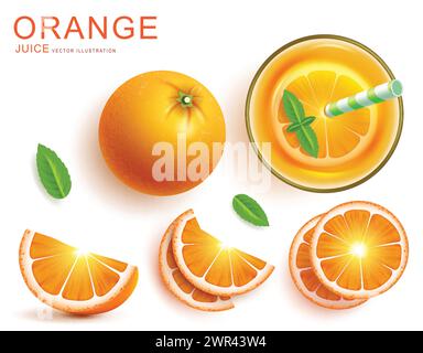 Summer orange juice vector set design. Orange juice beverage in glass drink with grapefruit cocktail refreshment for tropical season. Vector Stock Vector