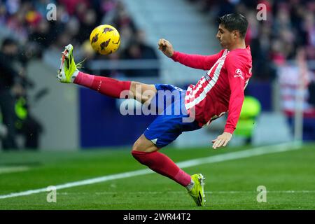 Madrid, Spain. 03rd Mar, 2024. Alvaro Morata of Atletico de Madrid during the La Liga EA Sports, date 27 between Atletico de Madrid and Real Betis played at Civitas Metropolitano Stadium on March 3, 2024 in Madrid, Spain. (Photo by Cesar Cebolla/PRESSINPHOTO) Credit: PRESSINPHOTO SPORTS AGENCY/Alamy Live News Stock Photo