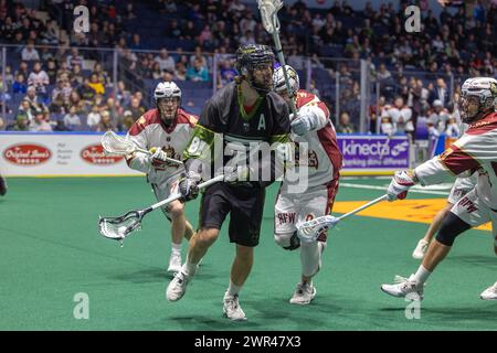 Rochester, New York, USA. 9th Mar, 2024. The Rochester Knighthawks hosted the Albany Firewolves in a National Lacrosse League game at Blue Cross Arena in Rochester, New York. (Jonathan Tenca/CSM). Credit: csm/Alamy Live News Stock Photo