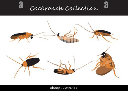Cockroach vector illustration set. Cute cockroach isolated on white background. Stock Vector