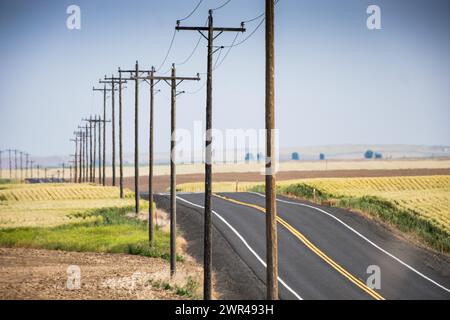 Utility poles line Route 261 south of Ritzville in Eastern Washington, USA. Stock Photo