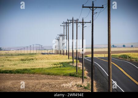 Utility poles line Route 261 south of Ritzville in Eastern Washington, USA. Stock Photo