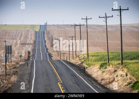 Utility poles line Route 261 south of Ritzville in Eastern Washington, USA. Stock Photo