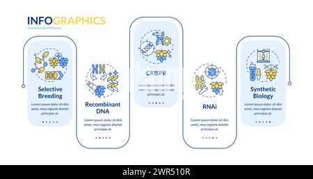 Agriculture biotechnologies rectangle infographic template Stock Vector