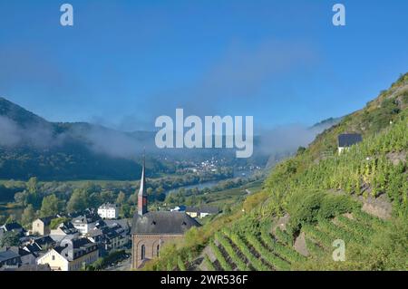 Wine Village of Valwig close to Cochem in Mosel Valley at Mosel River,Rhineland-Palatinate,,Germany Stock Photo